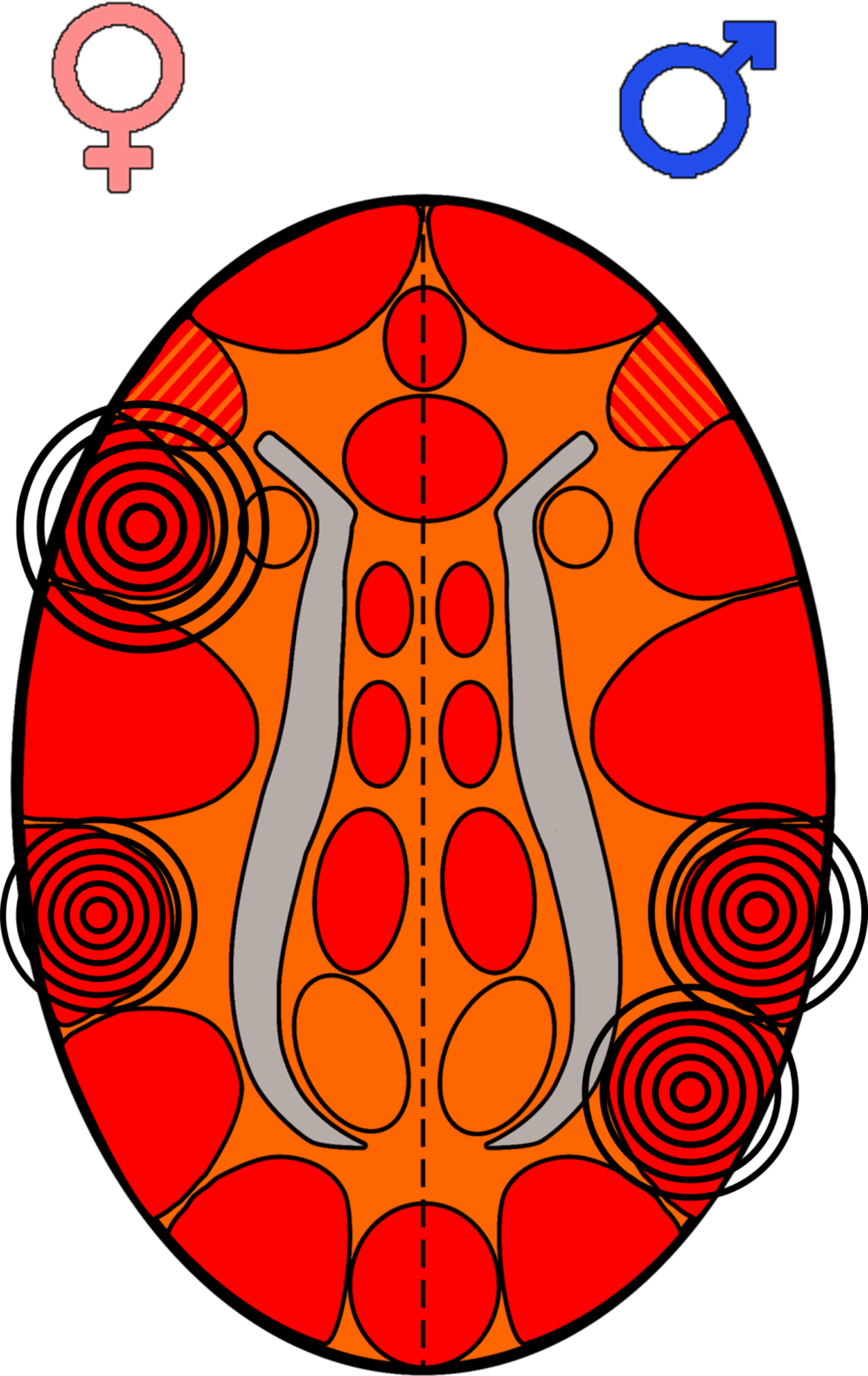 Verdiepingstraining - "PSYCHO-LOGICA"